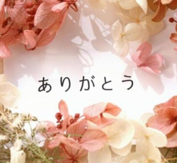 🕊️本日もありがとうございます🤍