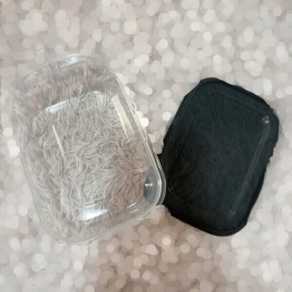 食べちゃった🍓✨