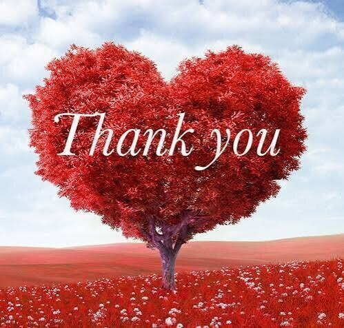 また明日👋🏻🎀.*･ﾟ