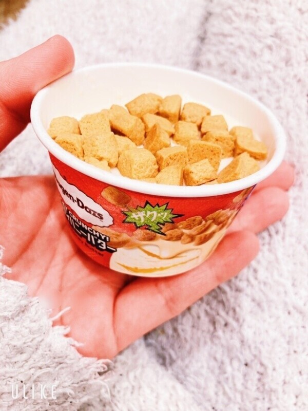 ご褒美っ🍨🤍