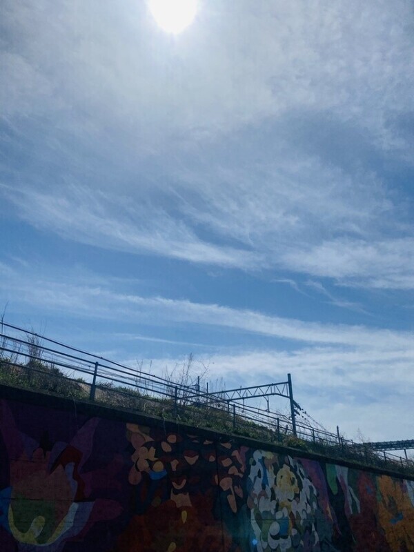 めっちゃ天気☀️｡°