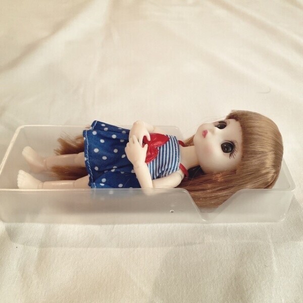 名前、決まりました🌳🍫💭