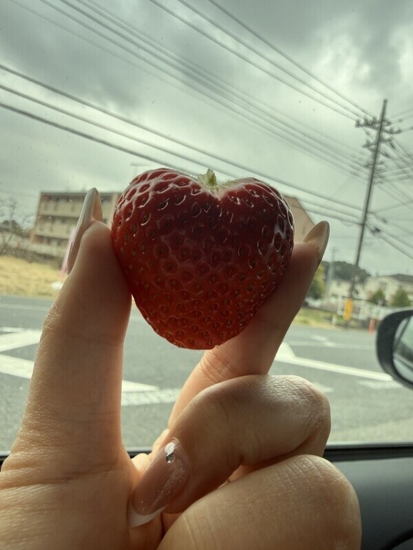 おつえれん‪☆☆