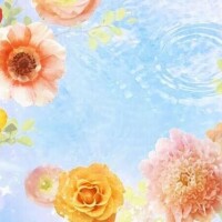 ゆあ