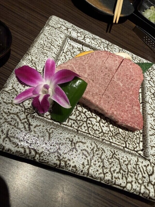おつえれん☆