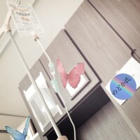 のどか