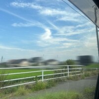 新堂　まいか