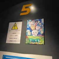 滝沢　あきな