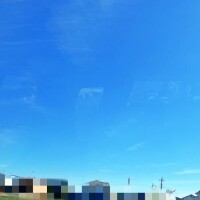 新堂　まいか