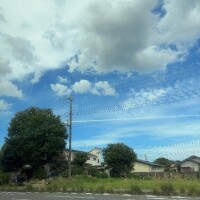 桃井　そら