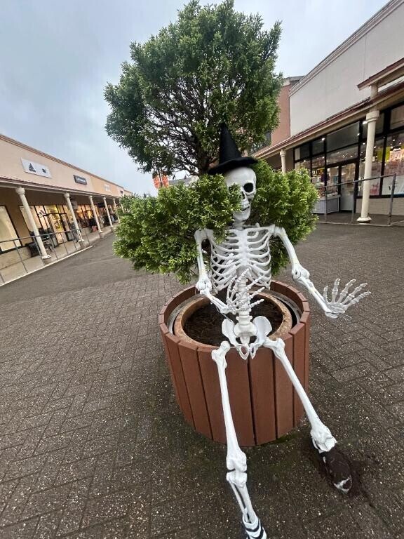 遅めのハロウィン