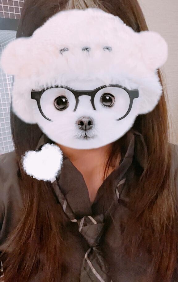 [お題]ストッキング