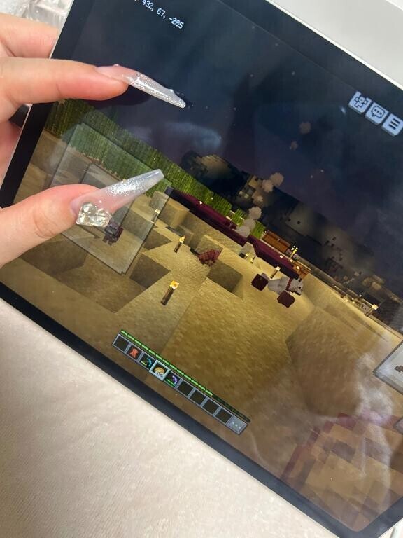 ネイルマイクラの邪魔だった?