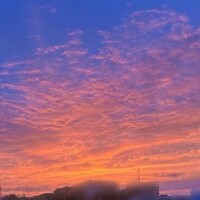 新堂　まいか