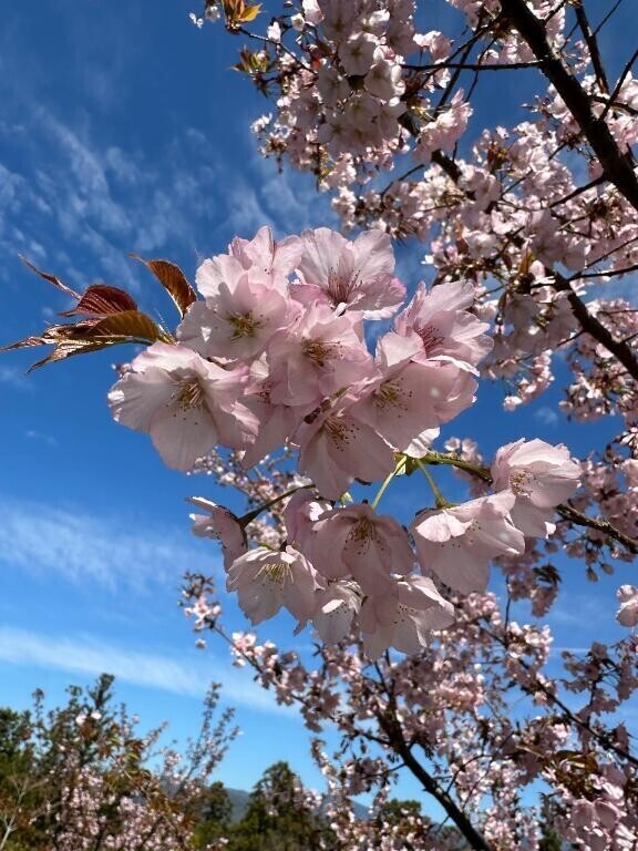 4月