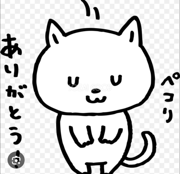 ✨️出勤✨️