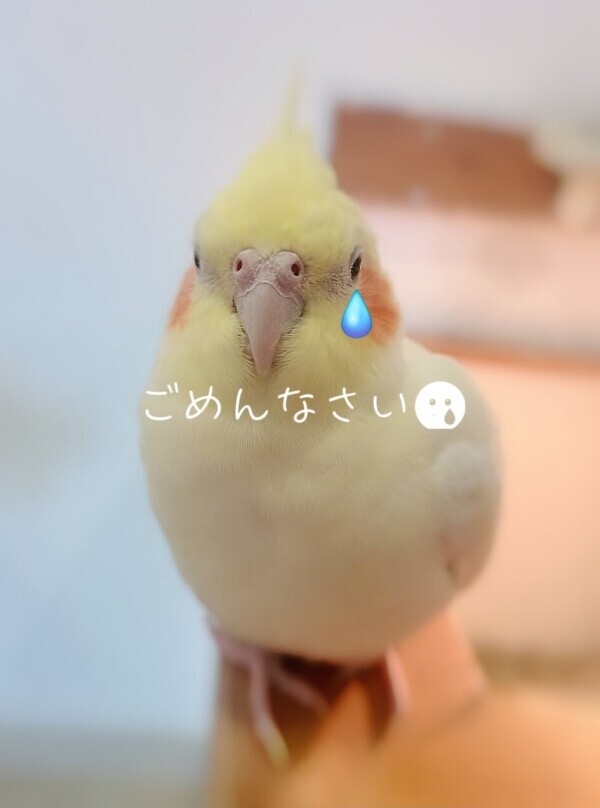 おはようございます😊