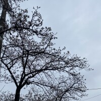 豊崎ゆの