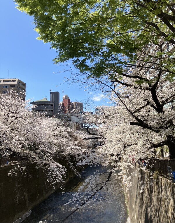 お久しぶりです(^^)