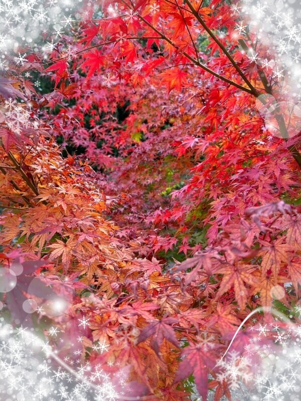 １０時から出勤😆