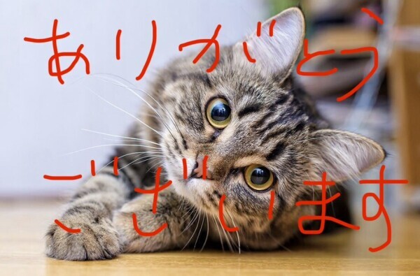 🌺ホテルミューズN様🌺ありがとうございました❣️