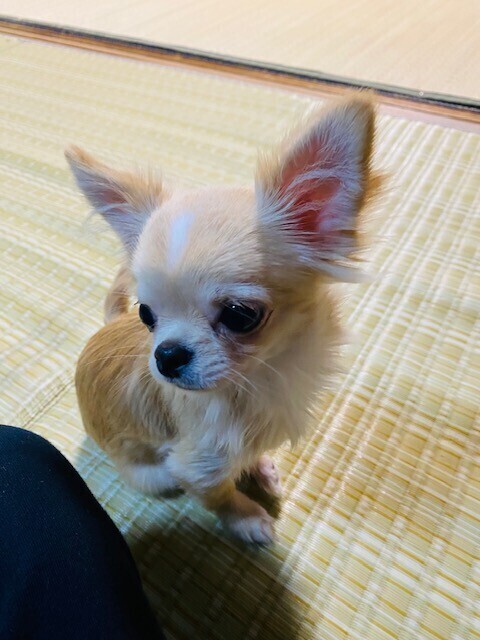 本指名さま💓