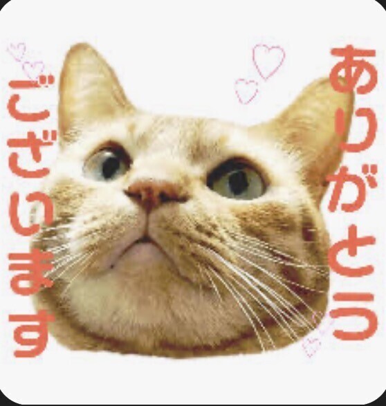 🌺ありがとうございました🌺