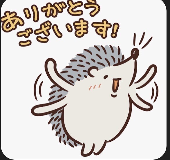 🌺ありがとうございました🌺