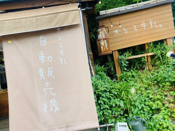 明日は変更✨