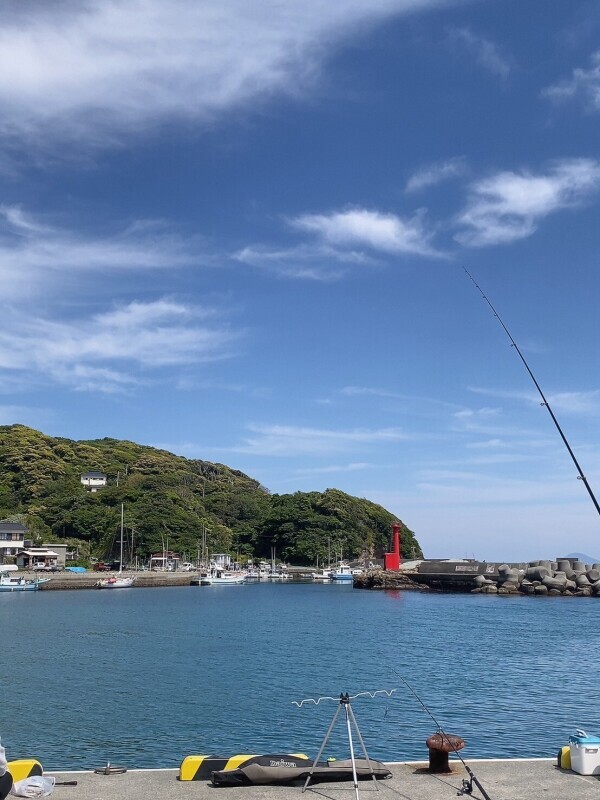 結局。。。🙇‍♀️