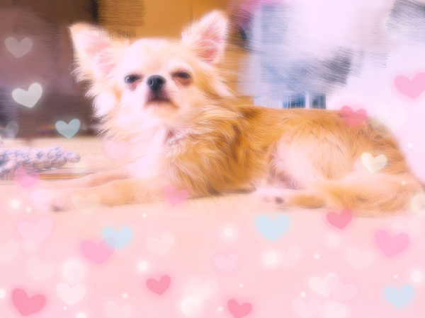 ウトウト😪💤