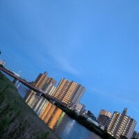 本日完売?