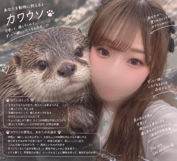流行りのやつ?