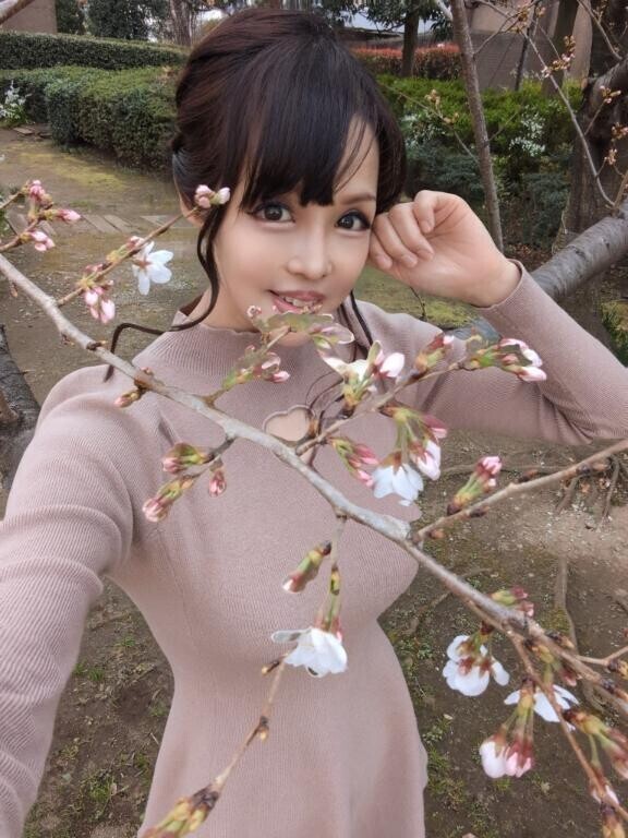 桜ルルルン?