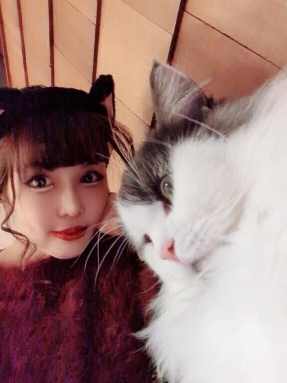 猫カフェ＆肉バル撮影