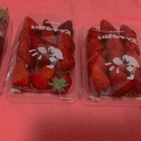 こゆき