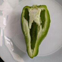 オレンジ　プレイボーイ出勤
