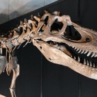 今日は何の日？