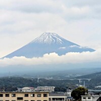 オレンジ　プレイボーイ出勤