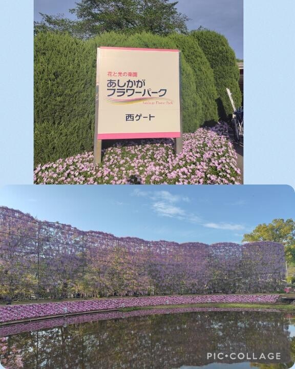 幸せのお裾分け?