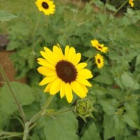 4月のありがとう?