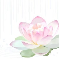 Iさんへ?