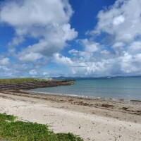 綺麗な心で?