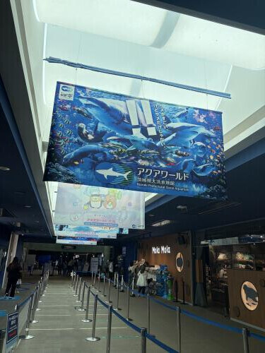 こんばんは〜！今日はお休みだったので大洗水族館行ってきました〜！めちゃくちゃ楽しかった！お兄様方におすすめしてもらったイルカショーも見たしペンギンも可愛いかった〜！！サメも大洗水族館が1番多いって聞いたから見てきたよ！🦈海風も気持ちよくて素敵な1日でした＊明日からまた頑張れそう！