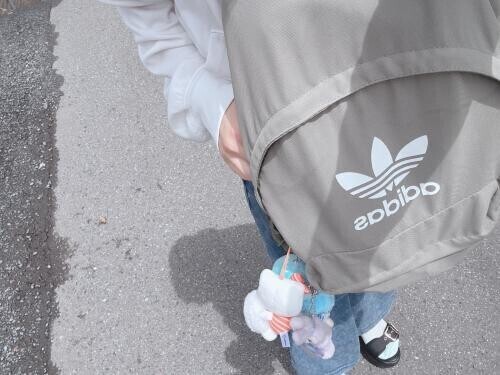 ぬいぐるみ♡ぃっぱぁぃᕽᒾ♡