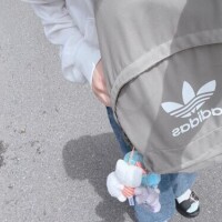 ぬいぐるみ♡ぃっぱぁぃᕽᒾ♡