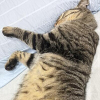 ﾊﾞﾀﾝｷｭｰ🙇‍♀️