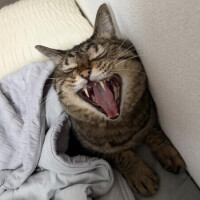 休養中
