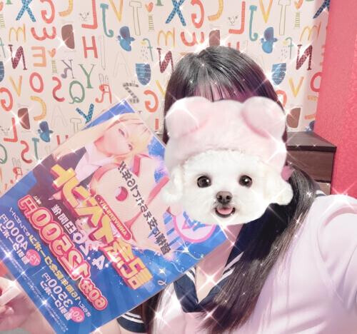 NoTitle