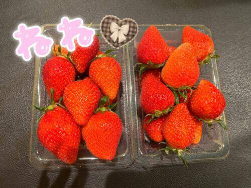 はじめまして